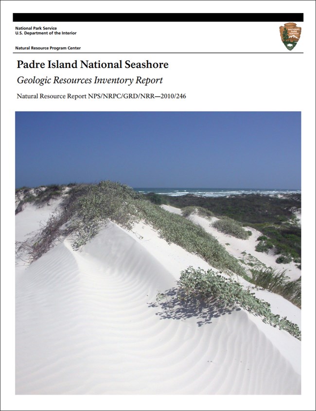 image of padre island report cover with sand dune photo