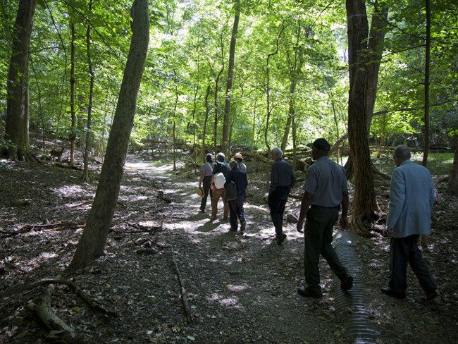 hikers on park trail