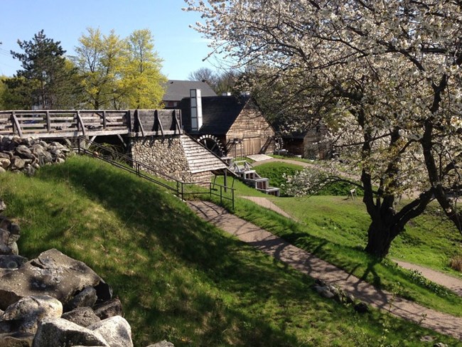 park walkway and buildings