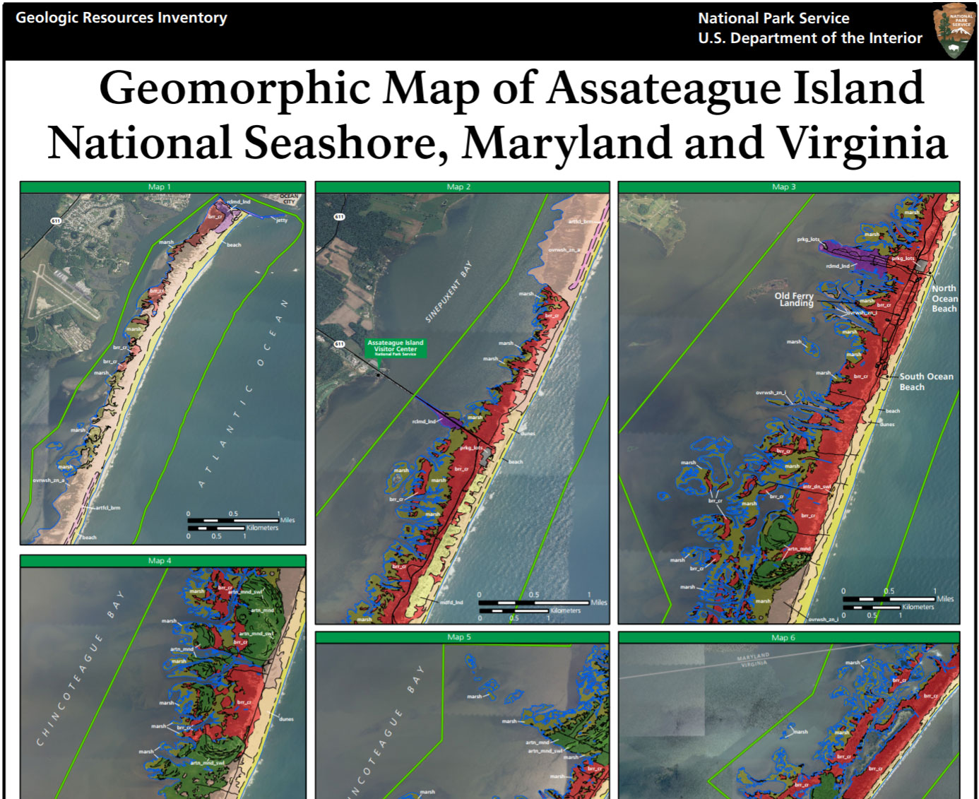 Assateague Island National Seashore Poster