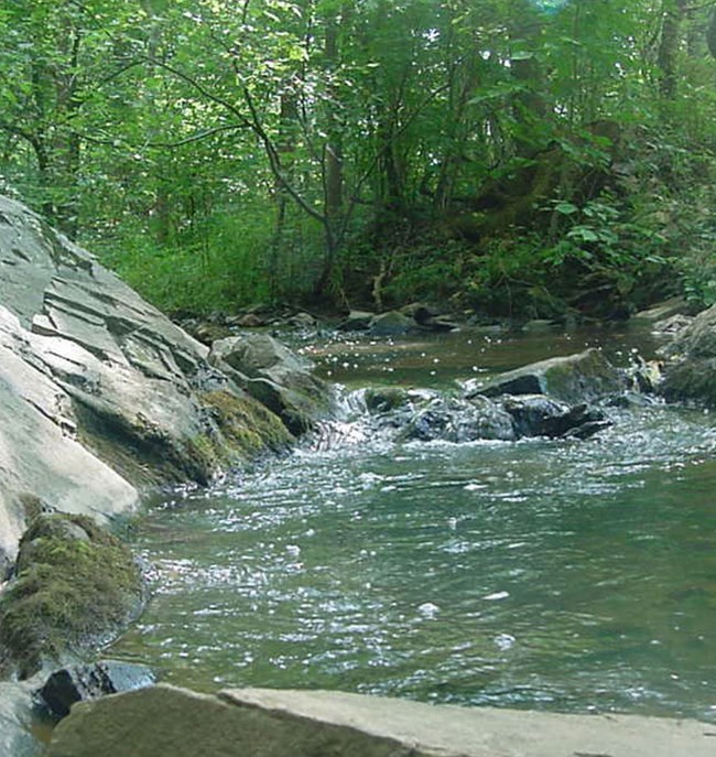 stream flowing over rocks