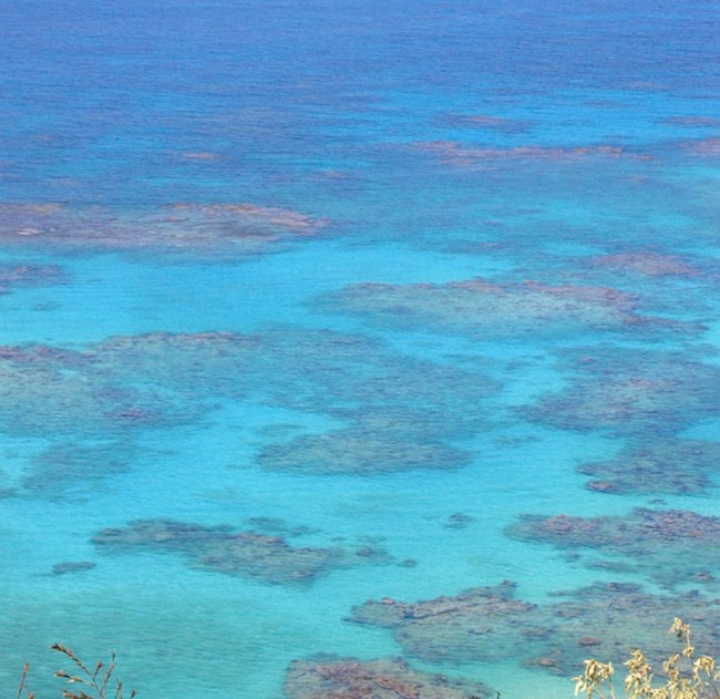 lagoon with patch reefs