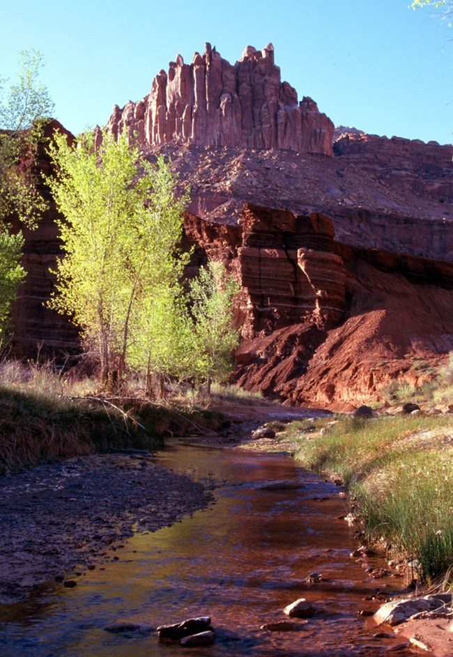 The Castle and Sulphur Creek