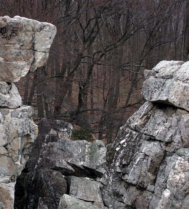 rock outcrop