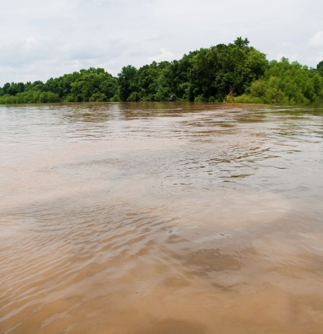 e confluence of the Congaree and Wateree rivers