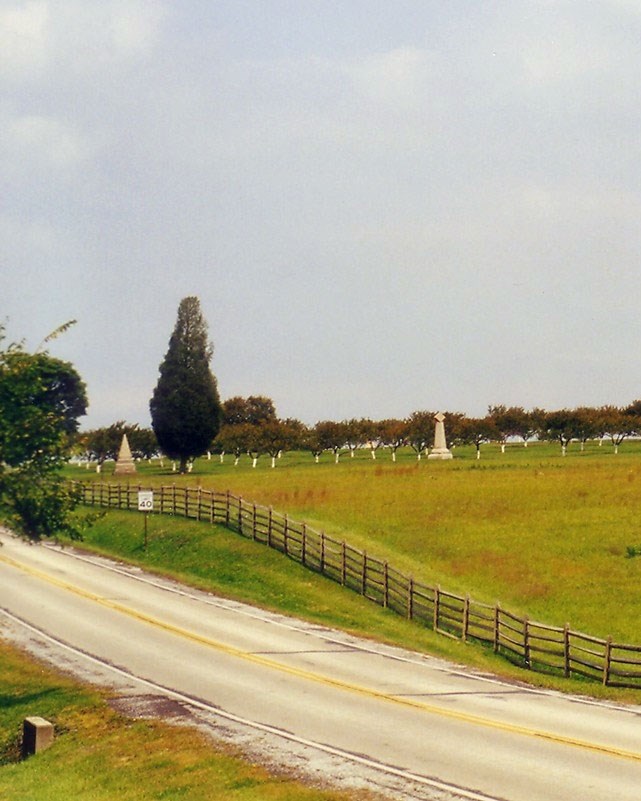 park landscape