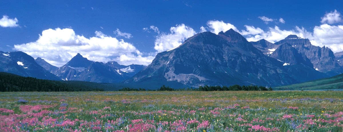 mountains and meadow