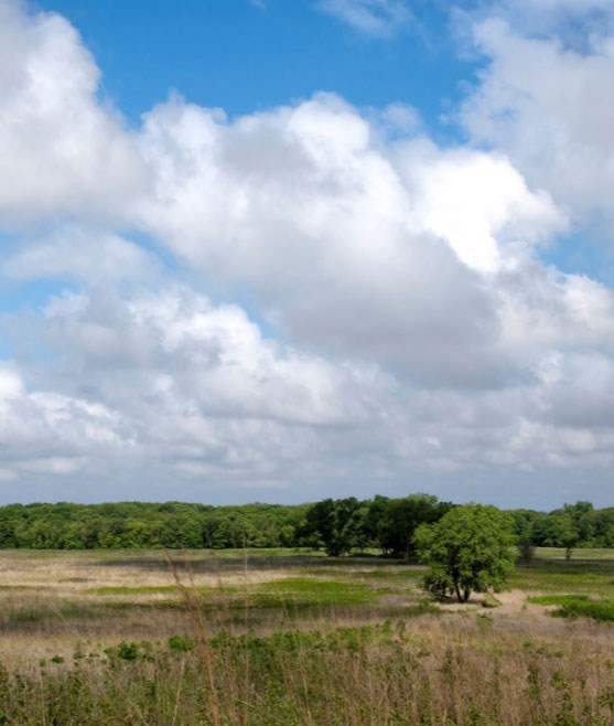 tallgrass prairie