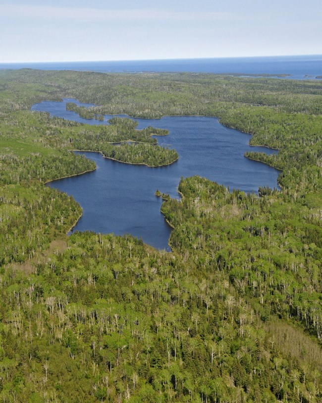 aerial view of lake and woods