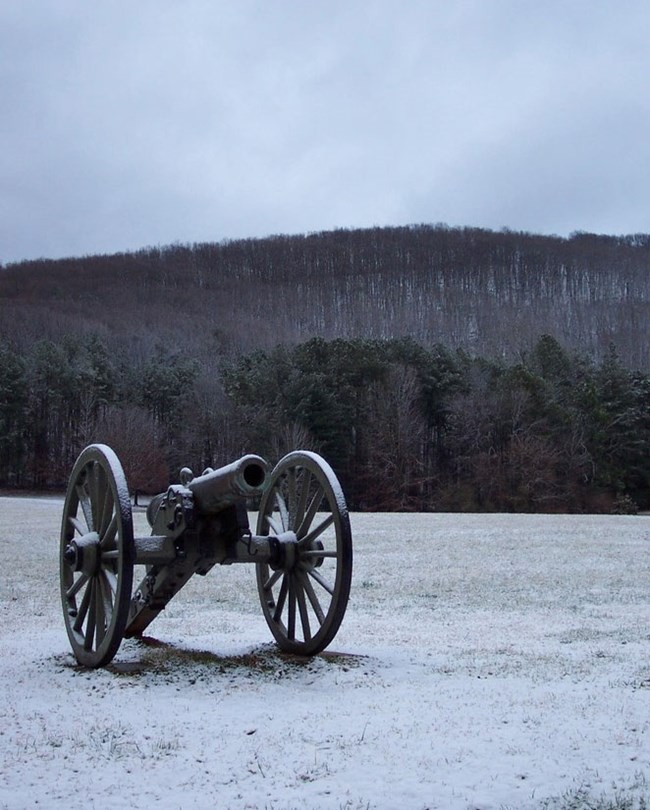 Snow Cannon, Battlefield Wiki