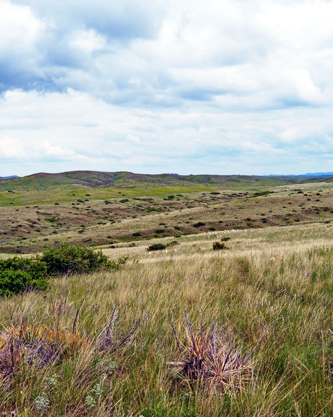 rolling hills rolling hills