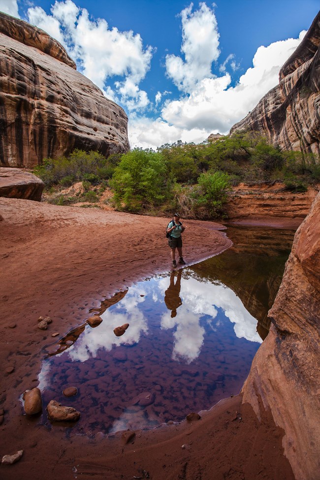 pool in canyon