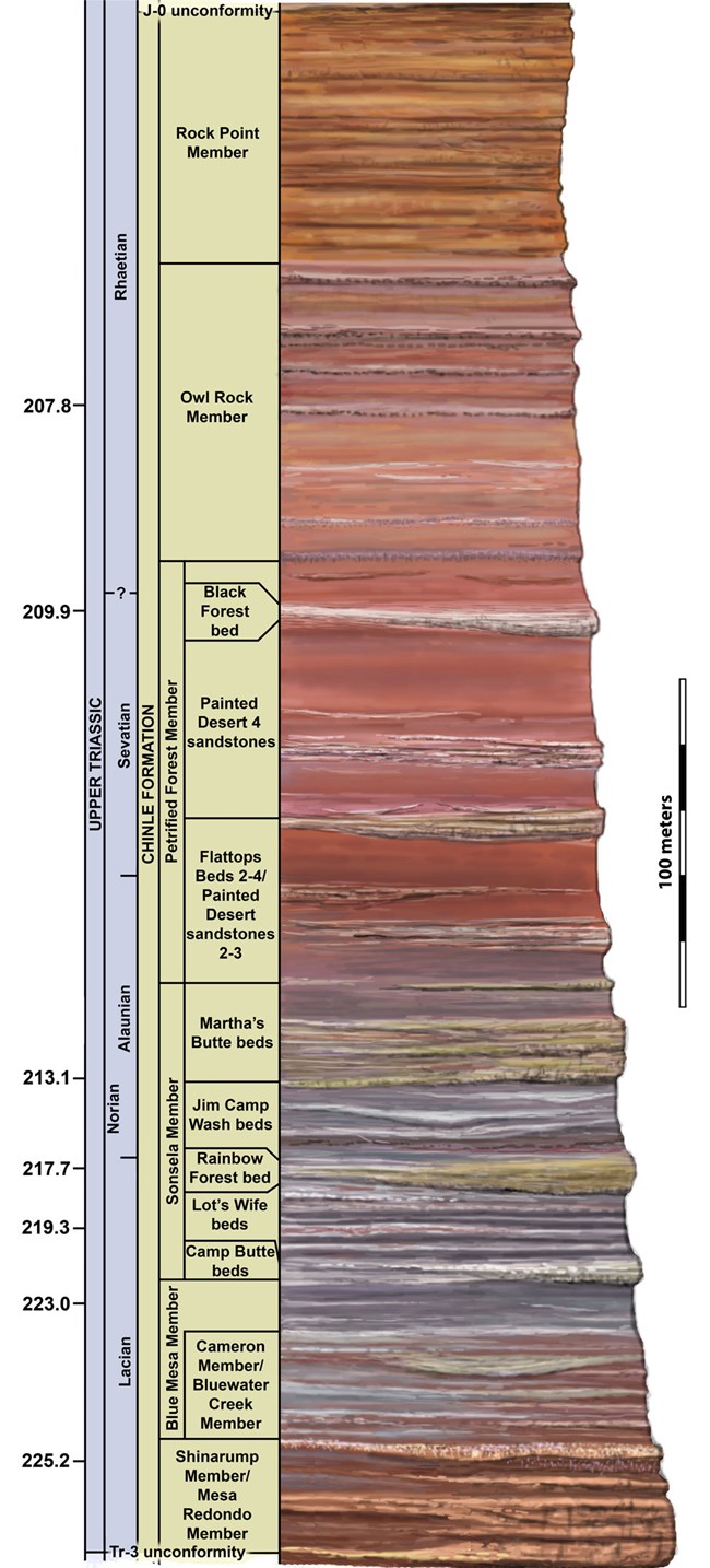 stratigraphic column