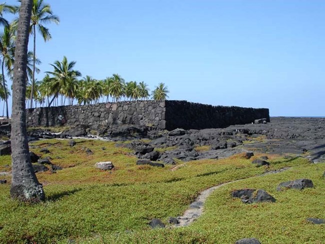 rock wall on coastal lava bench