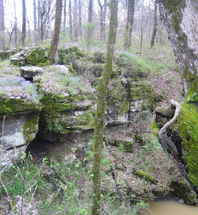 limestone above sinkhole