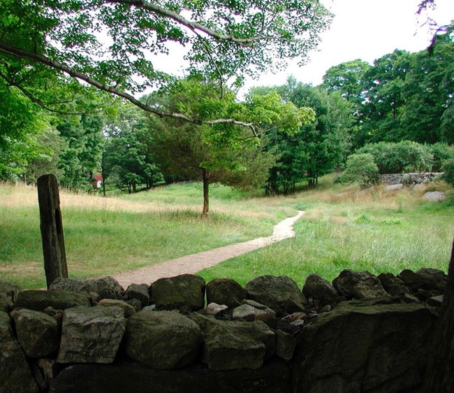 stone wall and field