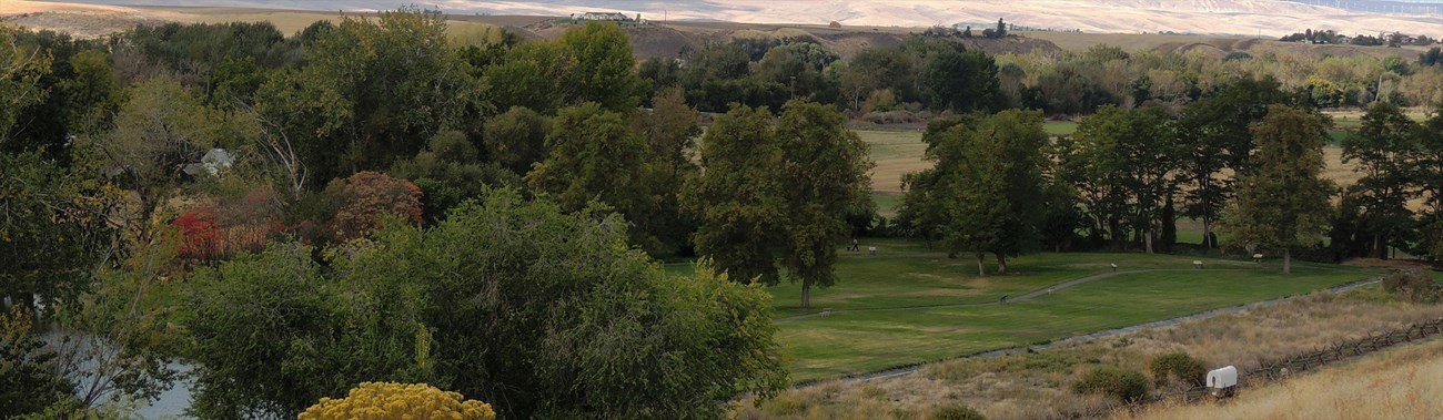 panorama of park and valley