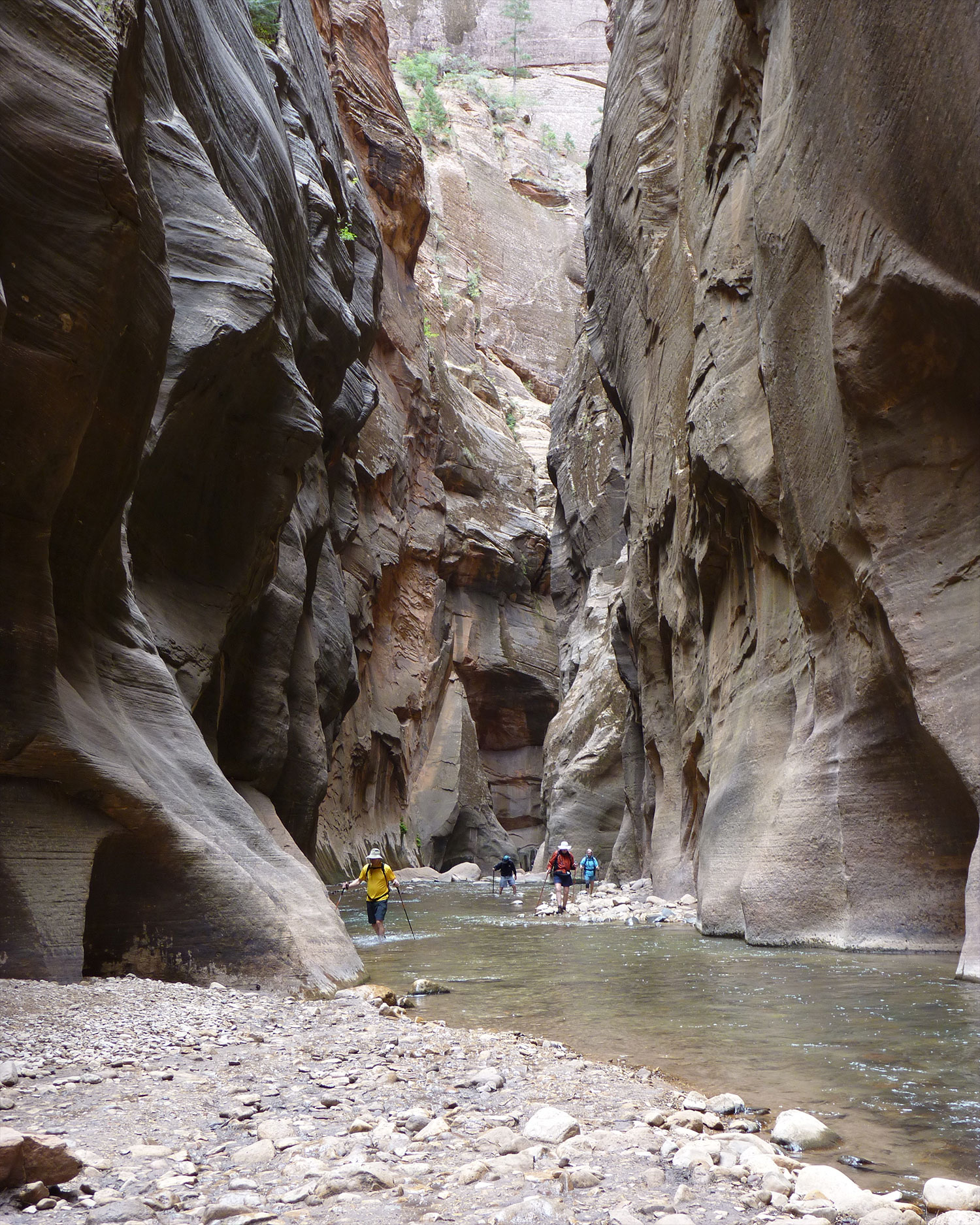 NPS Geodiversity Atlas—Zion National Park, Utah (U.S. National Park