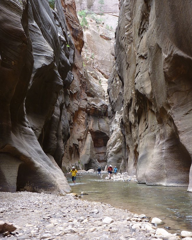 zion canyon
