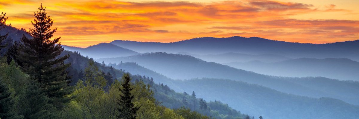 An orange sky above hazy mountains with green trees in the foreground