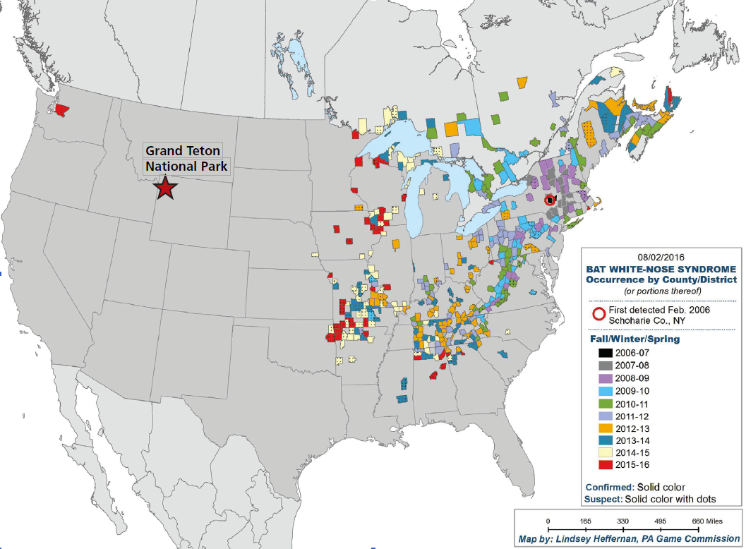 A map showing the places where WNS is found, mainly in the east but also in Washington State