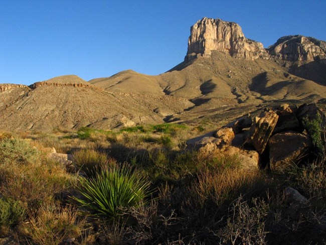 Desertscape with El Capitan
