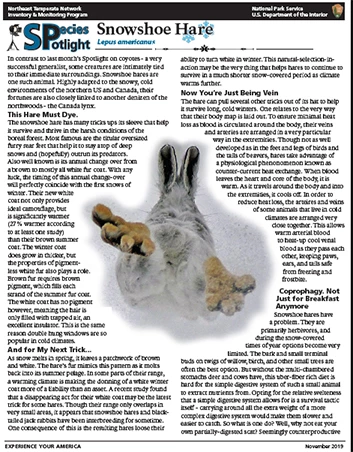 snowshoe hare pdf download snowshoe hare pdf download