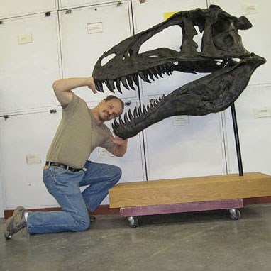 heckert_2 a person putting their head in the mouth of a dinosaur skull on display in a museum