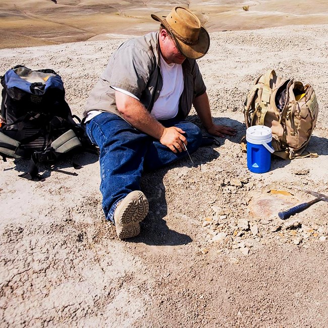 scientist digging at fossil site