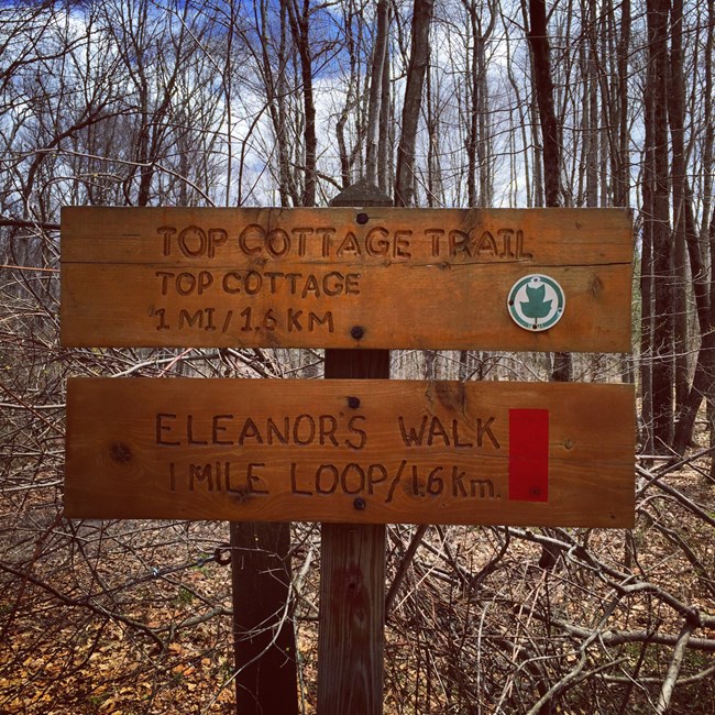 Two wooden signs on posts in the woods.