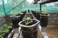 Hydroponics A Better Way To Grow Food U S National Park Service 