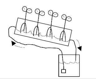 drawing of NFT method