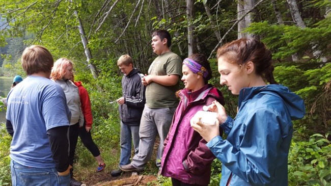 Collecting dragonfly larvae A group of young people in the field with collecting equipment