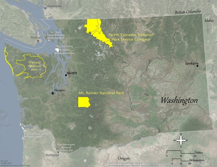 National Parks with whitebark pine Map of Washington State with three National Parks labeled. The two with more significant whitebark pine stands are filled in yellow.
