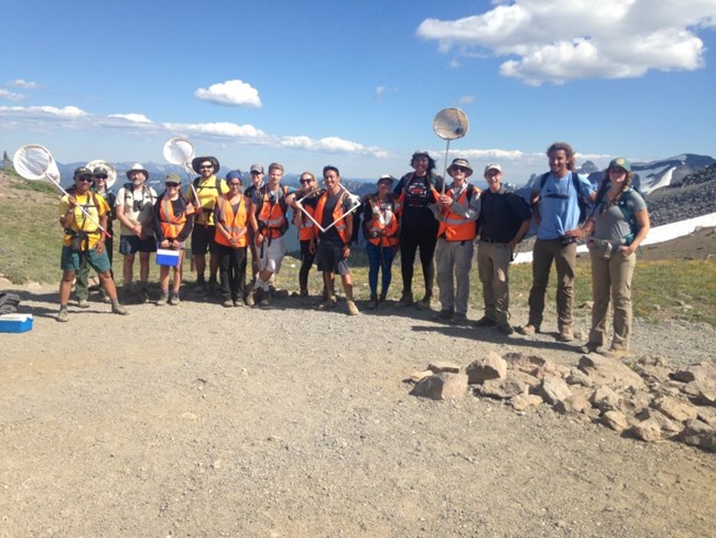 Pollinator hotshots Group of people wearing brightly colored vests, carrying butterfly nets and coolers