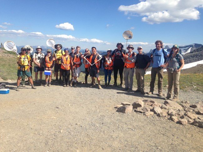 Group of people wearing brightly colored vests, carrying butterfly nets and coolers