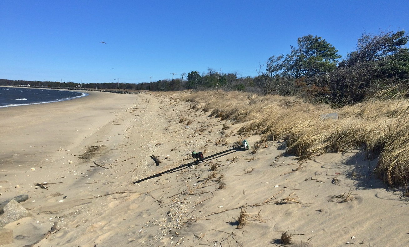 lt= Foredune and beach face at Sandy Hook Unit of Gateway National Recreation Area.
