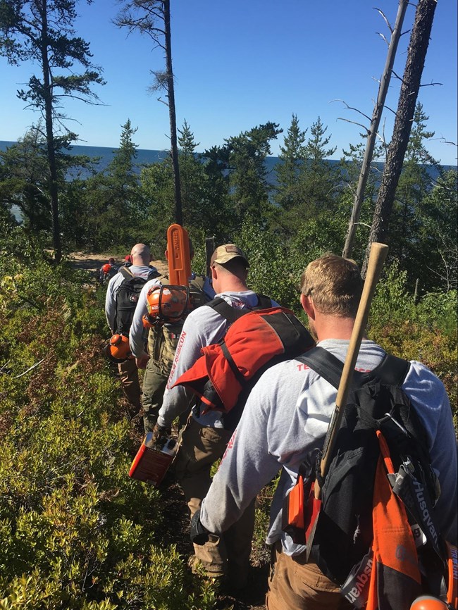 A line of volunteers with orange saws and axes march through the forest.