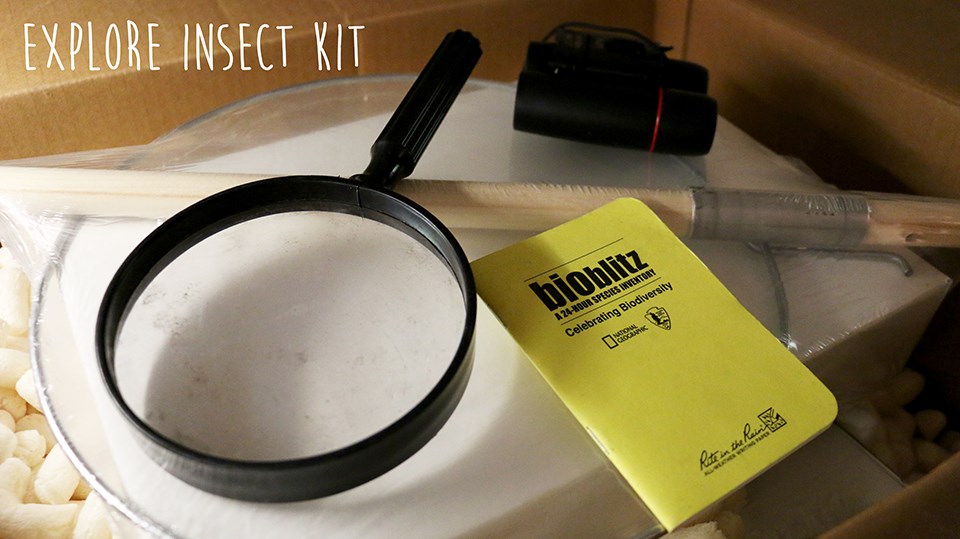 magnifying glass, notebook, and binoculars with the word explore insect kit written atop the photo