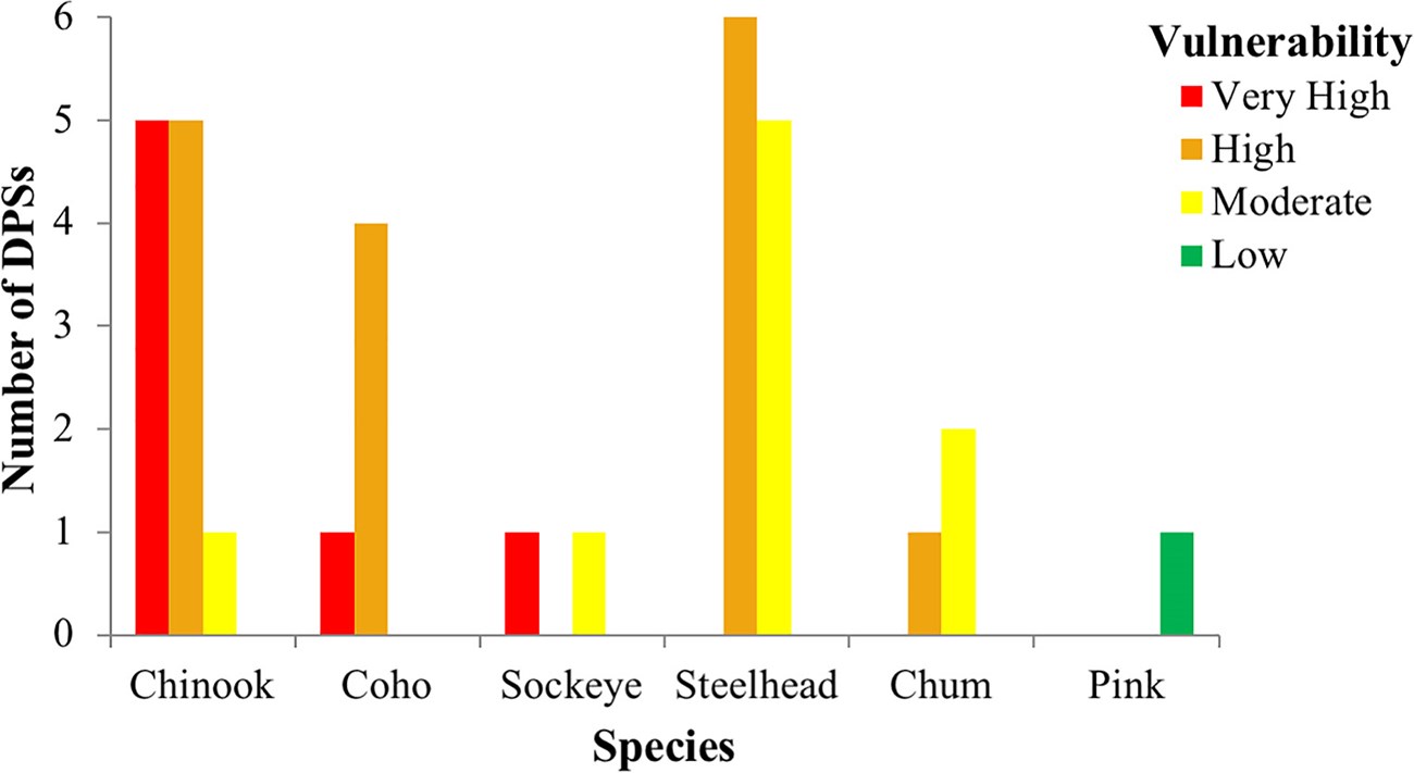 Pacific Coast salmonid population vulnerability rank by species Bar graph indicating that almost all Chinook populations and all coho salmon populations assessed were ranked in the two highest climate change vulnerability categories. One sockeye population was also ranked in the highest vulnerability category.