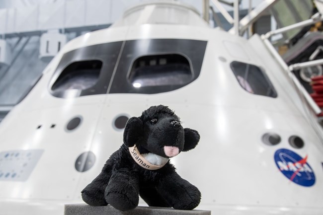 jsc2018e056688 toy dog near space module