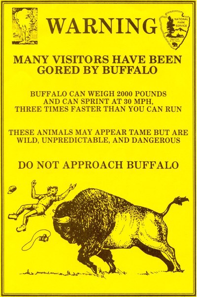Flyer stating WARNING and showing a cartoon drawing of a person being thrown up in the air by a bison goring it Flyer stating WARNING and showing a cartoon drawing of a person being thrown up in the air by a bison goring it