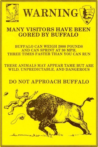 Flyer stating WARNING and showing a cartoon drawing of a person being thrown up in the air by a bison goring it