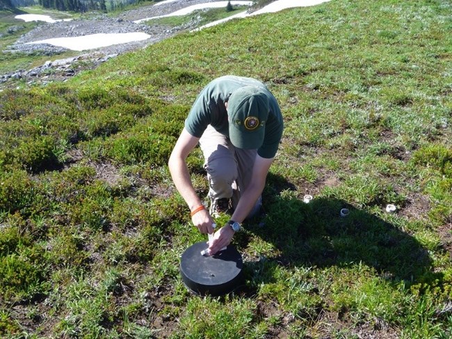Figure 1. Dr. Poinsatte sampling gaseous emissions. Dr. Poinsattee sampling gaseous emissions in an alpine meadow.