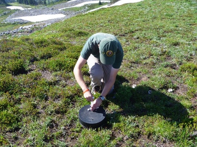 Dr. Poinsattee sampling gaseous emissions in an alpine meadow.