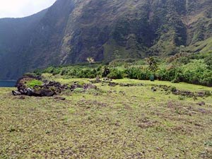 View of Kuka'iwa'a, low lying vegetation, a rock wall, trees, and pali.