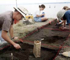 Gridding a site