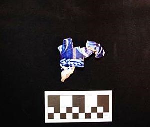 Sherd of printed ceramic. Sherd of printed ceramic.