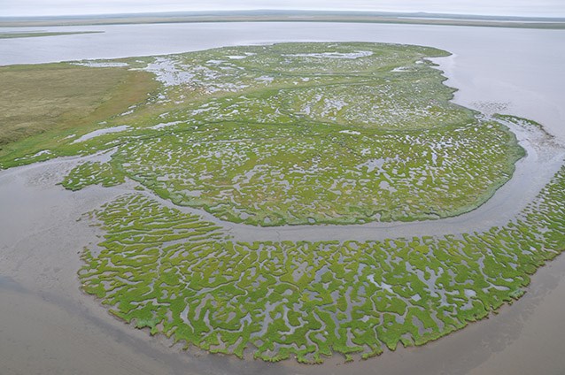 Aerial image of a lagoon