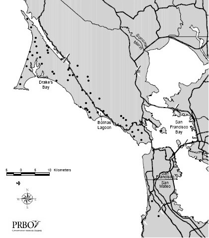 Landbirds inventory map Map showing inventory transect locations distributed throughout Point Reyes and Golden Gate.